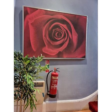F304-Lovely 3Rd Flr Studio Fits 2 Near Hyde Park ロンドン エクステリア 写真